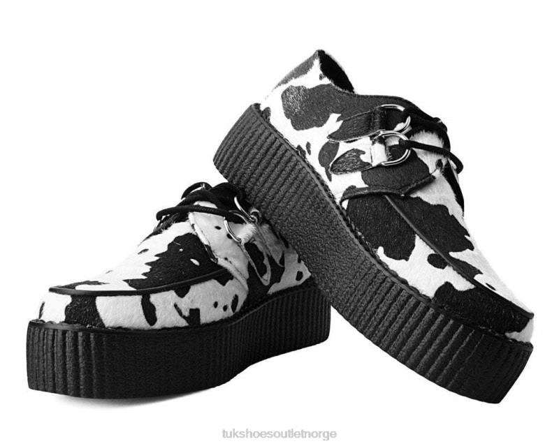T.U.K. Footwear ku print viva mondo creeper svart hvit fottøy kvinner 246X129